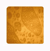 Polymer drop on silicon substrate, field of view 50 x 50 um